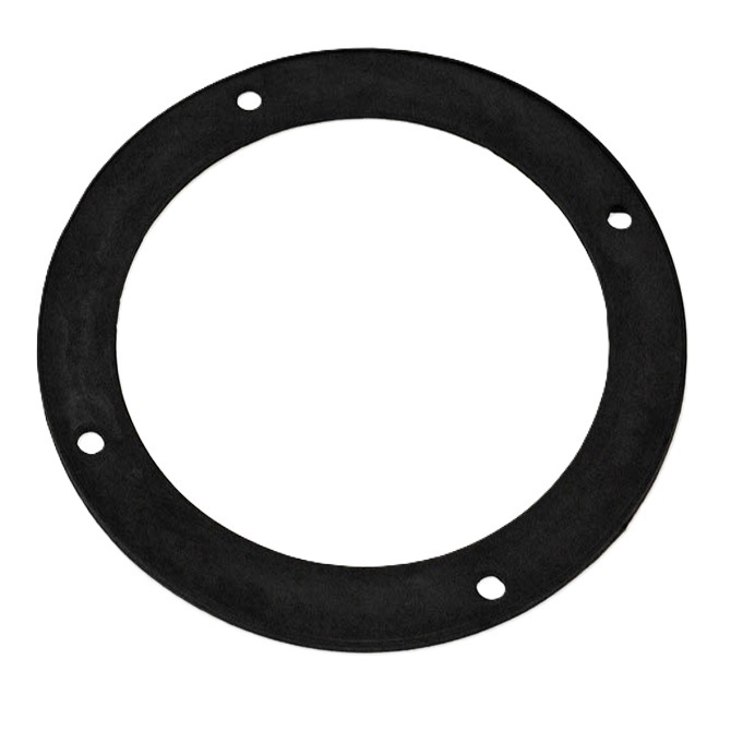 Non-Locking Large D-Ring Gasket Hansen