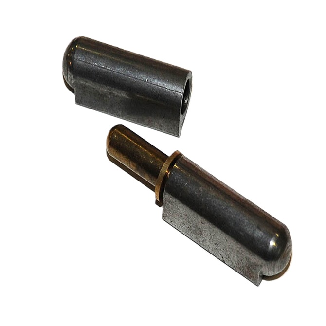 Steel Weld on Hinge with Fixed Pin and Brass Bushing
